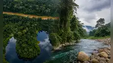 Este parque nacional protege más de 600 especies de aves y un ecosistema que no existe en otro lugar del Perú