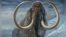 Científicos pensaron que eran huesos de mamut pero resultaron ser de otro animal Científicos pensaron que eran huesos de mamut pero resultaron ser de otro animal