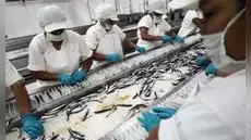 PBI peruano desacelera a 1,8% en mayo tras desplome de la pesca y caída de la manufactura