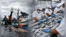 PBI peruano desacelera a 1,8% en mayo tras desplome de la pesca y caída de la manufactura