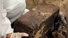 Investigadores encontraron un ataúd de 200 años de antigüedad en un cementerio: al abrirlo, quedaron boquiabiertos ante el escalofriante hallazgo