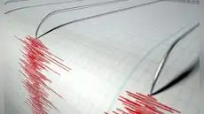 ¿Qué es un enjambre sísmico y por qué el terremoto de 7,4 en Chiapas mantiene en alerta a los investigadores?