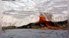 Una investigación resuelve el misterio de las "Cataratas de Sangre" de la Antártida