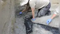 Arqueólogos descubren una estructura de madera de 476.000 años de antiguedad que no fue construida por Homo sapiens