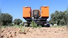 El país europeo que apuesta por un láser con inteligencia artificial para reemplazar los pesticidas en sus cultivos