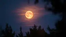 Calendario lunar agosto 2026: cuando ver la próxima luna llena y las fases lunares