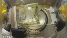 China cosecha las primeras muestras de arroz de su nuevo experimento de agricultura espacial