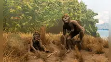 Científicos encuentran rastros de 2 homininos arcaicos desconocidos en el ADN humano Científicos encuentran rastros de 2 homininos arcaicos desconocidos en el ADN humano