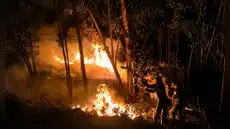 Áncash en alerta por incendios forestales: 47 emergencias han destruido más de 500 hectáreas en lo que va del año