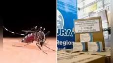 Minsa refuerza vacunación contra el dengue con casi 200.000 dosis enviadas a siete regiones del Perú
