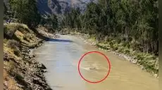 Carretera Central: auto colectivo que salió de Huaycán a Jauja cayó al río Mantaro y deja dos personas desaparecidas