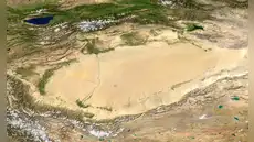 China lleva 50 años plantando árboles en el desierto de Taklamakán: ahora los satélites muestran que el paisaje absorbe más carbono del que libera