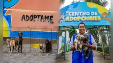 ¿Quieres adoptar un perro o gato rescatado? MML ofrece mascotas en adopción tras salvarlas del comercio ilegal en el Cercado: conoce los requisitos