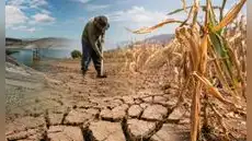 Déficit hídrico amenaza al agro: 607 distritos de 16 regiones quedan bajo estado de emergencia