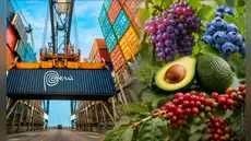 Exportaciones regionales del Perú crecen 37% y superan los US$46.000 millones