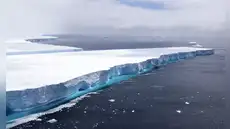Un descubrimiento inesperado en las profundidades de la Antártida: aparecen patrones geométricos en el lecho marino