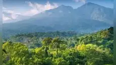 La nueva capital que se construye desde cero en la selva: costará 33.000 millones y tendrá espacio para 1,9 millones de personas