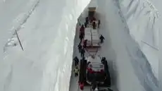 Guardan en la Antártida hielo de glaciares que están desapareciendo: cada muestra conserva miles de años de historia climática