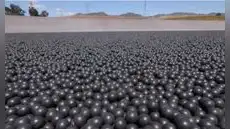 Gastaron 34 millones de dólares en 96 millones de bolas negras para proteger un depósito de agua y ahora deben retirarlas