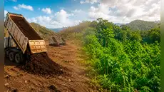 Científicos vertieron 30 camiones de pulpa de café en un terreno seco de Costa Rica: 2 años después, el paisaje era irreconocible