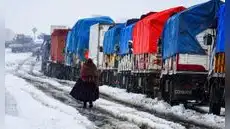 Nevadas golpean Bolivia y dejan más de 26.000 familias afectadas y miles de animales en riesgo por el frío