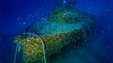 Tras 13 años de búsqueda, hallan a 96 metros bajo el mar un buque alemán de la Segunda Guerra Mundial: su conservación es excepcional