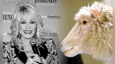 Dolly Parton y la oveja clonada que cambió la ciencia en 1997: la peculiar razón por la que compartieron nombre