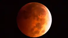 Un nuevo espectáculo astronómico: después del eclipse solar, un eclipse lunar parcial será visible durante la noche del 27 al 28 de agosto