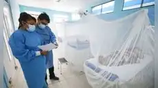 Dengue en Perú: muertes ya superan todo el registro de 2025 y casos aumentan 53% en 2026