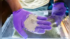 Unas bacterias modificadas genéticamente ofrecen una nueva forma de acelerar la meteorización de las rocas para eliminar el CO₂