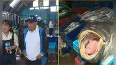 Fenómeno El Niño cambia el pescado para el ceviche en Lima: nuevas especies llegan a los restaurantes