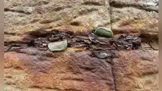 Turistas dejaron durante años miles de monedas por buena suerte en un monumento natural: ahora retiran más de 10.000 para proteger este Patrimonio de la Humanidad