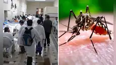 Dengue en Perú: Minsa reporta 4.000 contagios en Lima y lanza advertencia por impacto del fenómeno de El Niño