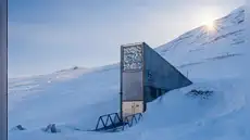 La bóveda del fin del mundo está escondida en una montaña sobre el círculo polar ártico: oculta 1,4 millones de muestras de semillas y solo se ha abierto debido a una guerra