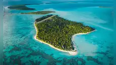 En 1966, Marlon Brando compró una isla en la Polinesia tras filmar una película: hoy es santuario con 15.614 tortugas verdes