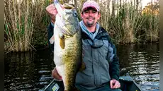 Un hombre construyó un lago para criar peces, pero la fauna silvestre se apoderó del lugar: así cambió todo en solo 1.000 días