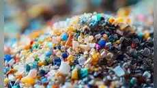 Revelan los 5 alimentos más contaminados con microplásticos y que consumimos habitualmente Revelan los 5 alimentos más contaminados con microplásticos y que consumimos habitualmente