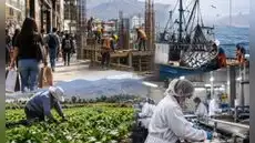 Economía peruana creció 3,56% en julio, pero pesca, agro e industria frenaron un mayor avance