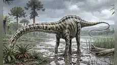 Paleontólogos españoles identifican el primer diplodocus de Europa: habría llegado a través de puente terrestre desde norteamérica