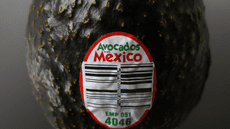 How new tariffs impact avocado prices and trade between the US, Canada, and Mexico