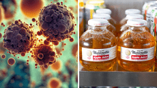 Martinelli's juice toxicity contamination: Company recalls more than 170,000 apple juice bottles