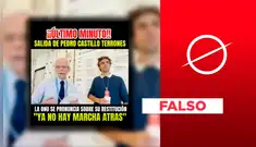 Es falso que la ONU se pronunció a favor de la liberación y restitución del expresidente Pedro Castillo