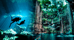 ¿Qué son los cenotes y por qué son uno de los más grandes atractivos de México?