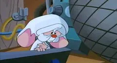 Pinky y Cerebro: conmovedor episodio navideño le cumple su sueño al inteligente ratón [VÍDEO] 