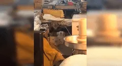 Joven capta a su perro moviendo su cabeza de forma curiosa al ritmo de hip hop [VIDEO] 