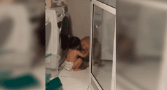 Bebé calma a perro que se espantó con el ruido de unos fuertes truenos y protagonizan una tierna escena [VIDEO]