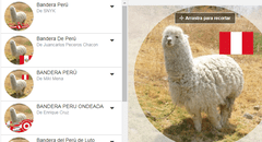 Facebook: ¿sabes cómo tener usar el filtro de la bandera peruana en tu foto de perfil? Sigue estos pasos