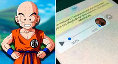 WhatsApp: ¿cómo enviar audios a tus amigos con la voz de Krilin de “Dragon Ball Super”?