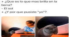 ‘Meme del gato regañado’: conoce el origen de la imagen que es viral en Internet [FOTOS]