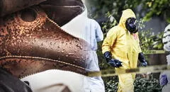 Peste negra: ¿cómo se contagia, cuáles son los síntomas y el tratamiento de esta enfermedad?